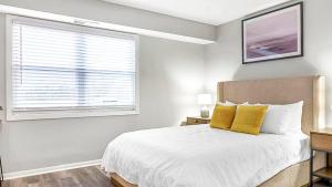 Landing Apartments Indy