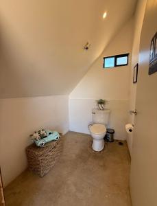 The Pangea Valle de Guadalupe