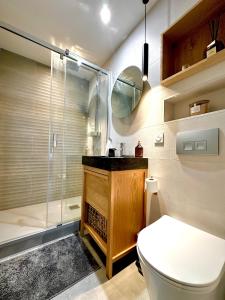 Studio meublé haut standing Annemasse centre