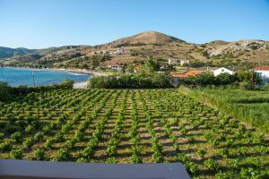 Akrogiali Apartments Limnos Greece