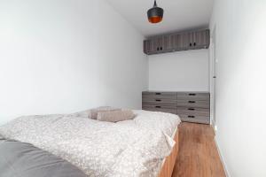 Apartament Lawenda