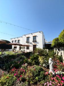 Hacienda San Angel