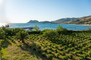 Akrogiali Apartments Limnos Greece