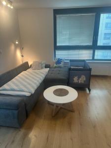 CityPark Apartment, free parking & AC