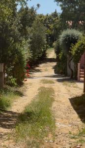 Beautifulhousebybeach img25