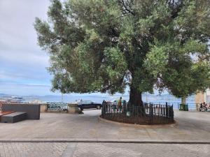 Elduayen Luxury Centro