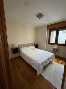 Piso céntrico en Bejar