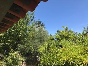 Villa cannoise en bord de mer