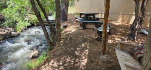Room with 1 King bed and 1 Queen bed at the Cedaredge Lodge