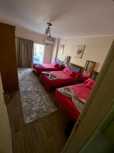 New Alamein Downtown Apartment