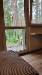 Leśne Apartmani Biała