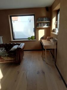 Luxury eco home with large garden and lots of light