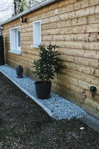 Chambre indépendante avec salle de bain et toilettes