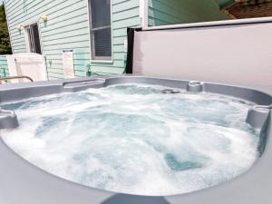 2150 - A Spotted Duck