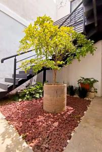 Hermosa habitación Centro Histórico GDL