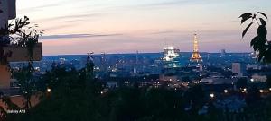 Appartements Elegant apt avec vue Tour Eiffel & parking prive : photos des chambres