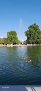 Appartements Elegant apt avec vue Tour Eiffel & parking prive : photos des chambres