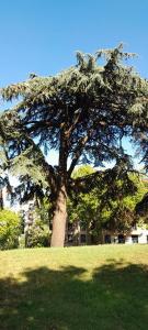 Appartements Elegant apt avec vue Tour Eiffel & parking prive : photos des chambres