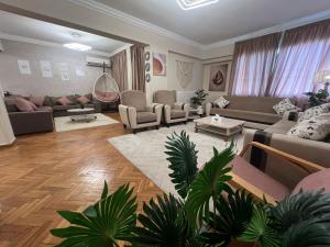 Boho Chic Retreat in the midst of Cairo City Life