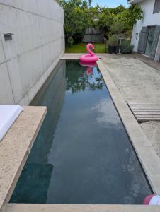 endless summer lodge