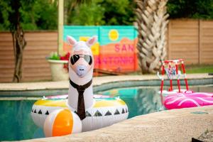 Pool! Games! Dogs! Space!