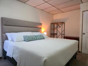 New House in Ciudad Merliot