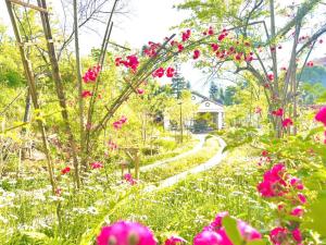 Thanh Truc Villa & Flower