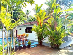 The Comfortable Coconut House