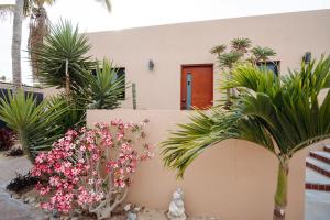 Hotel Hondo - Boutique Hotel in Los Barriles