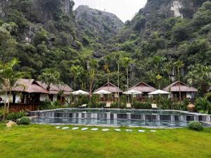 Tam Coc Golden Fields