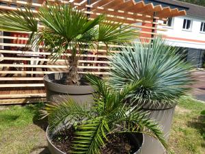 Hotels Hotel ARBOR - Les Hunaudieres - Le Mans Sud - Mulsanne : photos des chambres