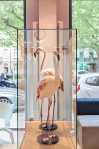 The Dutch Maastricht