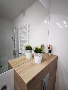 SEA & SMILE APARTMENT - BASEN, SAUNA, PARKING, WIFI, SPA Kołobrzeg Podczele