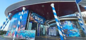 Baan Busan - 3mins to Haeundae Beach