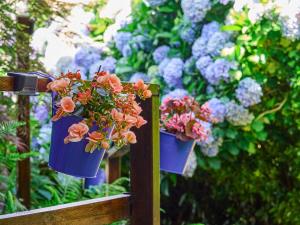 La casa azul de Lua Un lugar mágico