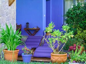 La casa azul de Lua Un lugar mágico