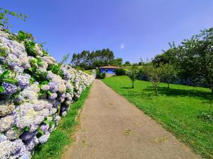 La casa azul de Lua Un lugar mágico