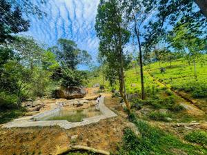 PEKOE VALLEY Huluganga