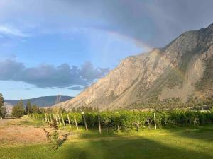 Taurean Vines Guest house