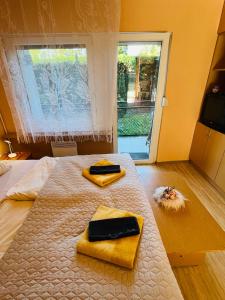 Balcsitthon Ezüstpart