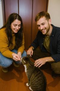 旅籠屋ゆいまーる - 猫と触れ合える宿