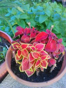 Apartments Aida - 4hvězdičkové hotely ve městě Bihać