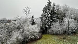 Ferienwohnung Heideberg 2