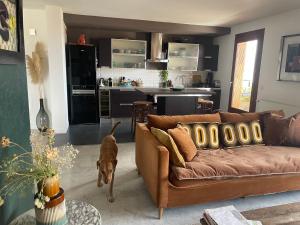 Appartements Toit du monde : photos des chambres