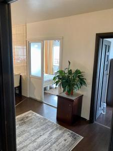 3 camere panoramic vivo