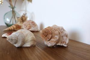 Appartements Spacieux Appartement Vue Mer et Montagne en dernier etage avec Terrasse - Parking et Wifi : photos des chambres