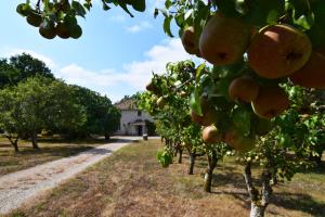 Villas Gite La Chenaie, maison ancienne pour 13 personnes- Clevacances 3 cles : photos des chambres