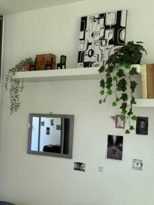 Appartements Tours de citrine : photos des chambres