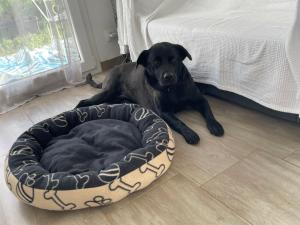 Appartements Ganzes Haus in Basel Leymen Tiere willkommen : photos des chambres
