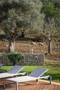 Agroturismo SArboçar